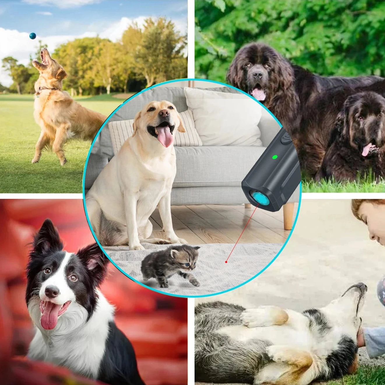 מכשיר למניעת נביחות BarkGuard Ultra - דיל ישיר