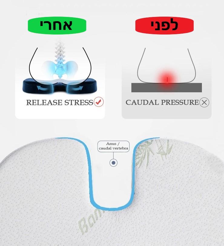 כרית ישיבה אורטופדית לגב מעודדת ישיבה נוחה ובריאה ומפחיתה לחץ