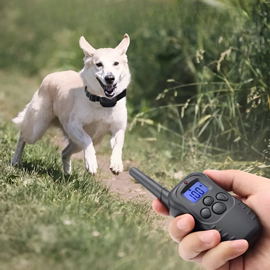 קולר חשמלי לכלב עם שלט אלחוטי - דיל ישיר 